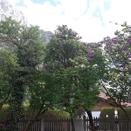 Haus Bergesruh *